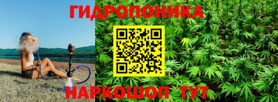 спиды Заволжье